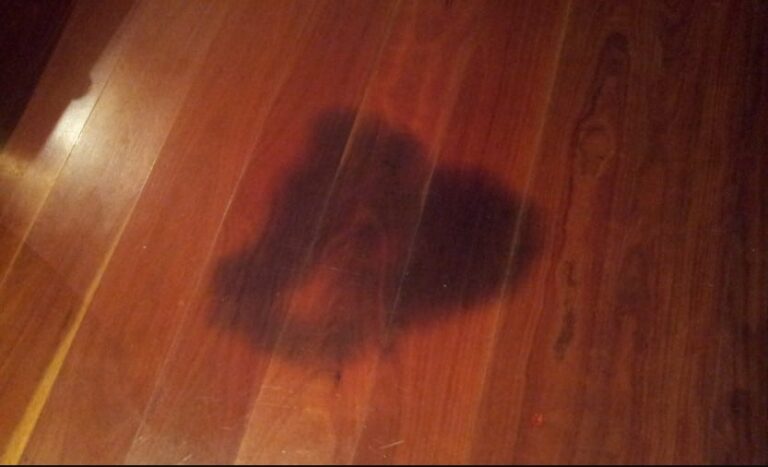 How To Remove Black Urine Stains From Hardwood Floors