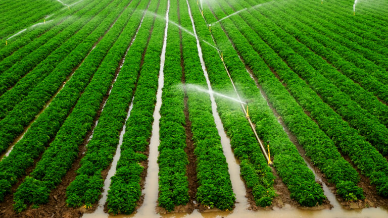irrigation system