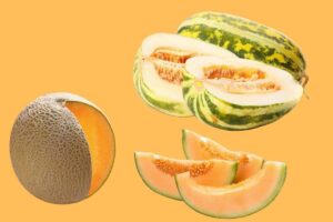 Are Cantaloupe And Muskmelon The Same Thing