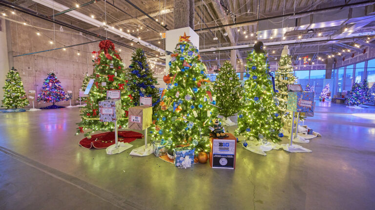 Festival Of Trees