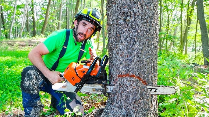 Cutting Down Trees