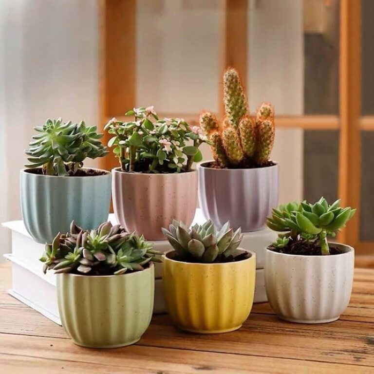 Ceramic Pots