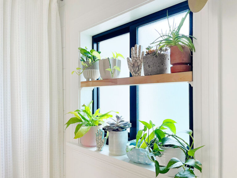 Window Shelf