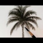 Palm Trees