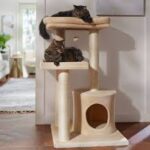 Frisco Cat Trees