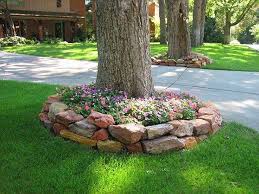 Landscaping Around Trees