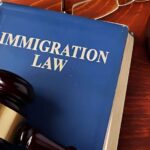 Immigration Lawyer