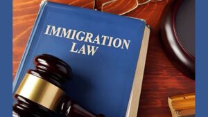 Immigration Lawyer