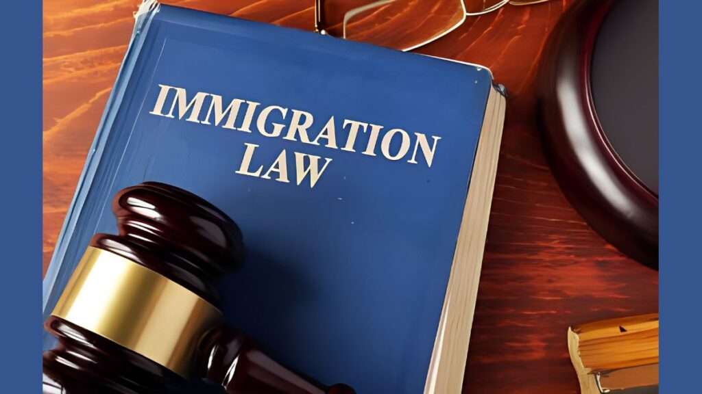 Immigration Lawyer